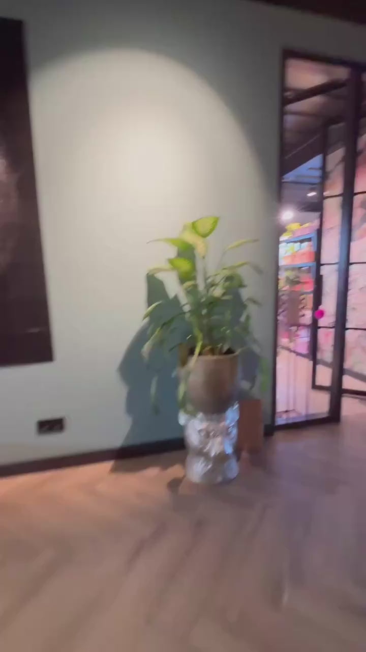 Charger la vidéo : 